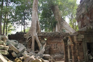 2011 Cambodia_0613