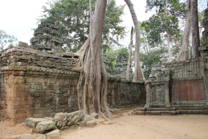 2011 Cambodia_0626