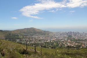 2012 Cape Town _0108