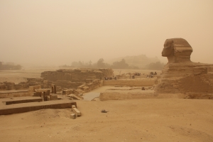 2012 Cairo_0016