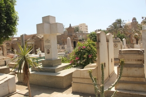 2012 Cairo_0080