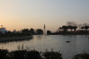 2012 Cairo_0127