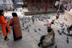 2019-Kathmandu_0026