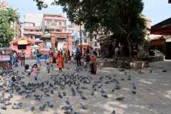 2019-Kathmandu_0029