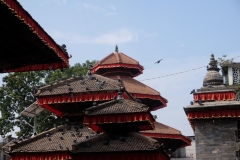 2019-Kathmandu_0035
